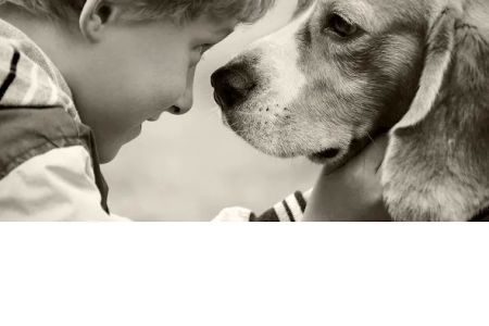 Plum Creek Regional Animal Medical Center