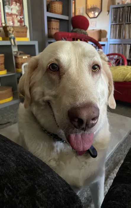 Plum Creek Regional Animal Medical Center 12