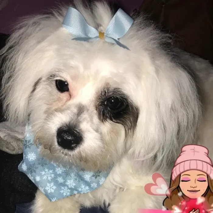 Riverdale Animal Hospital 2