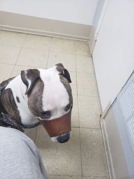 Riverdale Animal Hospital 3