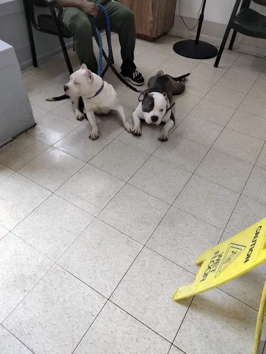 Riverdale Animal Hospital 8