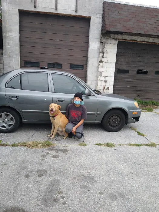 Riverdale Animal Hospital 4
