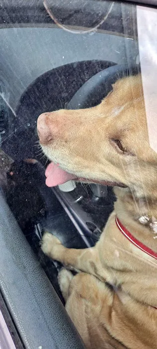 Riverdale Animal Hospital 5