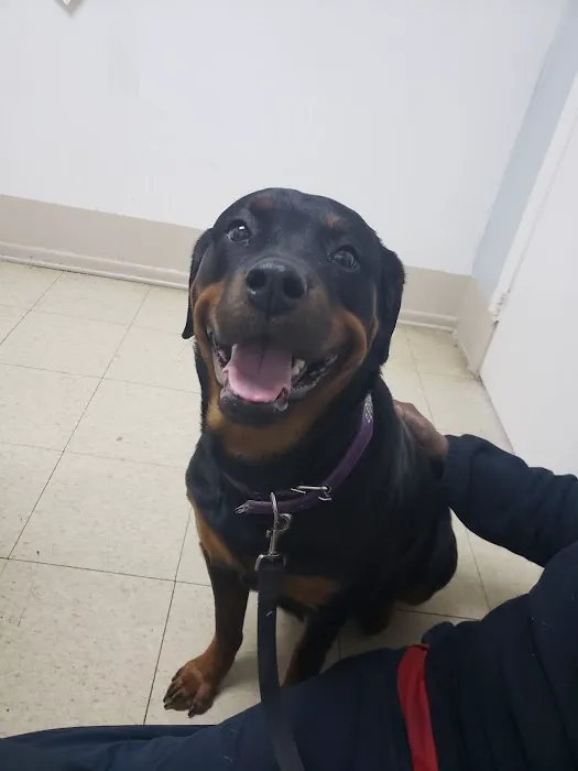 Riverdale Animal Hospital 7
