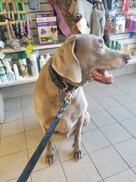 Flossmoor Animal Hospital 12