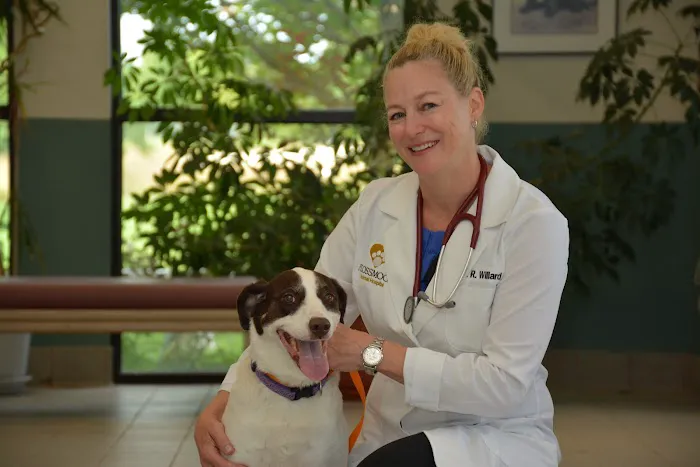 Flossmoor Animal Hospital 12