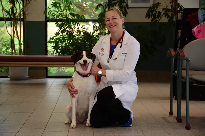 Flossmoor Animal Hospital 12