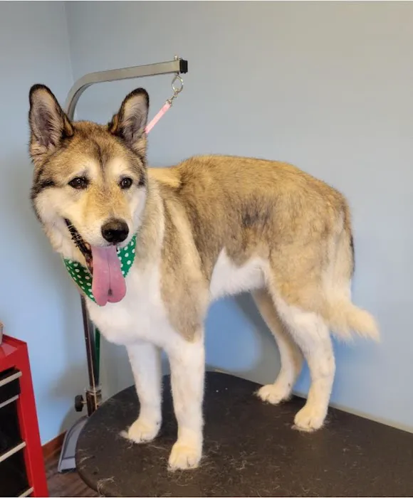 McPheron Animal Clinic 12