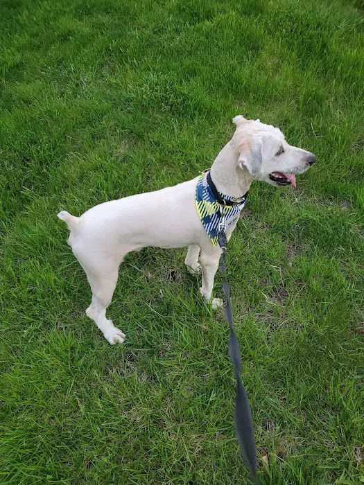 Southwest Animal Care Center 12