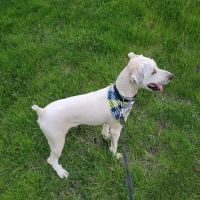 Southwest Animal Care Center ico