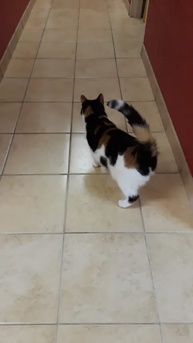 Southwest Animal Care Center 12