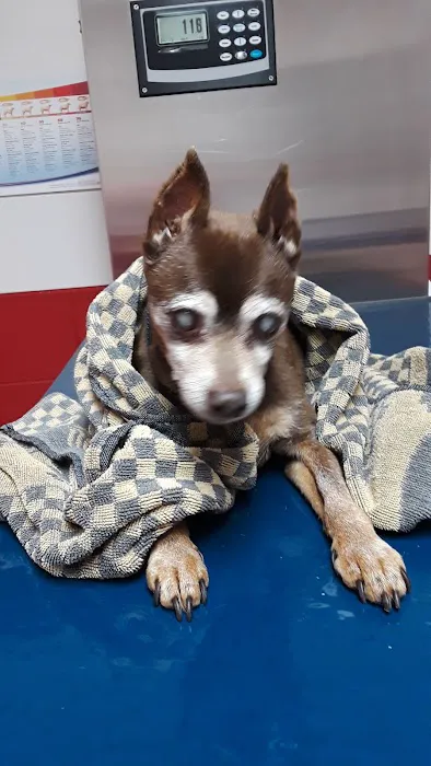 Southwest Animal Care Center 12