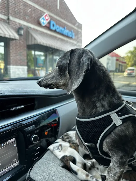 Veterinary Diagnostic Centers-Crown Point, IN 12
