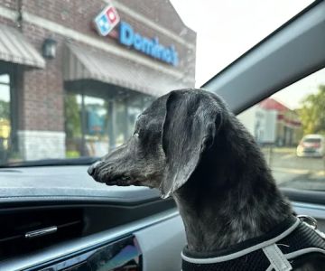 Veterinary Diagnostic Centers-Crown Point, IN