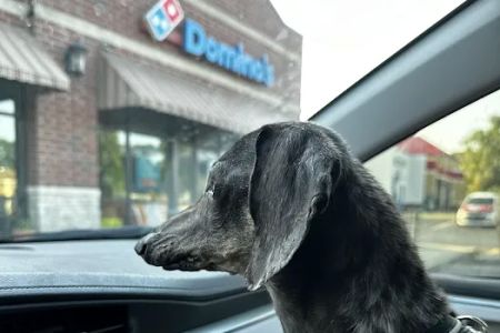 Veterinary Diagnostic Centers-Crown Point, IN