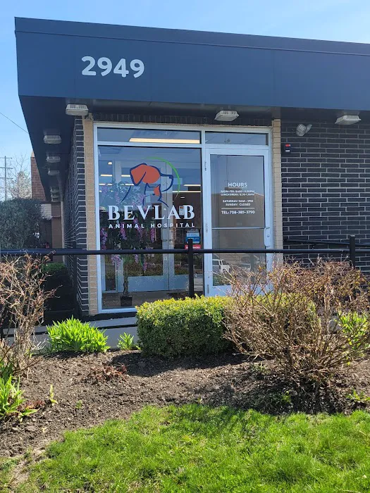 Bevlab Animal Hospital 12