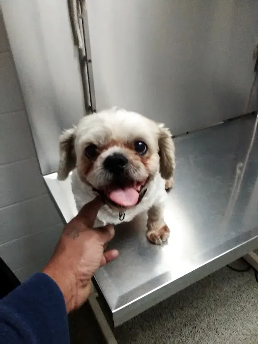 Bevlab Animal Hospital 12
