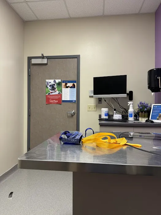VCA Veterinary Emergency Service & Veterinary Specialty Center 12