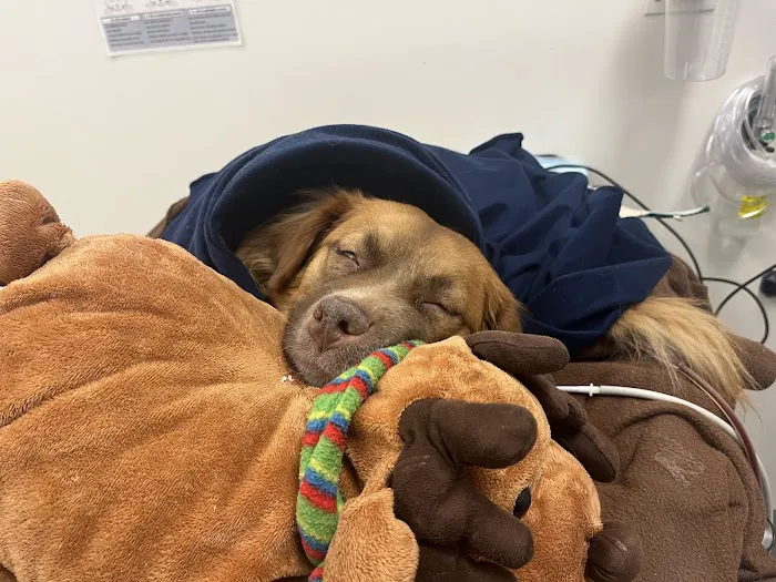 The Ohio State University Veterinary Medical Center 6