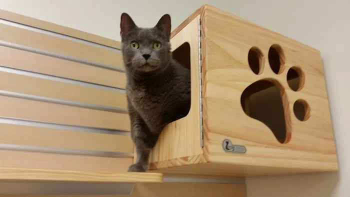 The Ohio State University Veterinary Medical Center 7