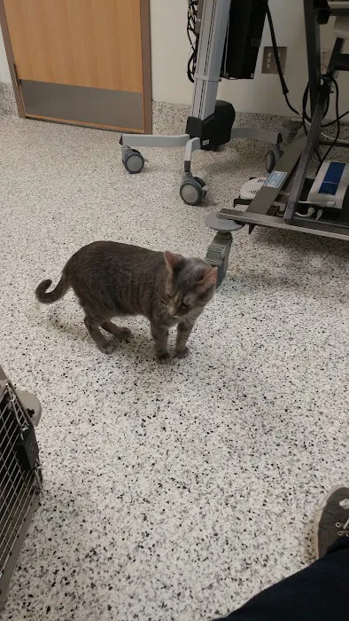 The Ohio State University Veterinary Medical Center 3