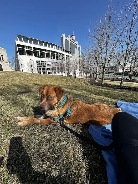 The Ohio State University Veterinary Medical Center 8