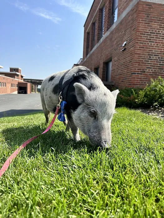Veterinary Medical Center North–University of Minnesota 12