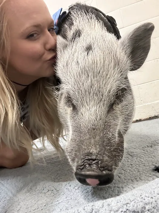 Veterinary Medical Center North–University of Minnesota 12