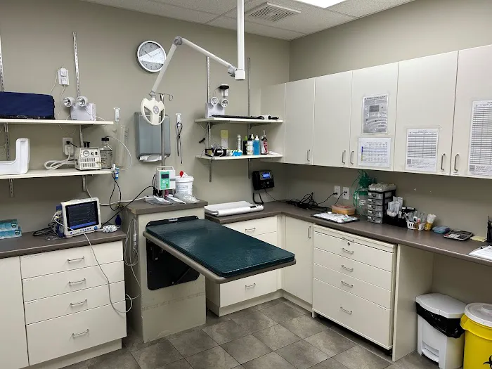 London Regional Veterinary Emergency and Referral Hospital 1