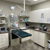 London Regional Veterinary Emergency and Referral Hospital ico