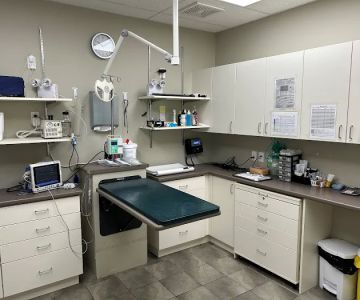 London Regional Veterinary Emergency and Referral Hospital