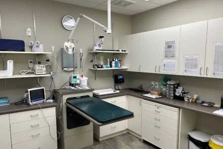 London Regional Veterinary Emergency and Referral Hospital