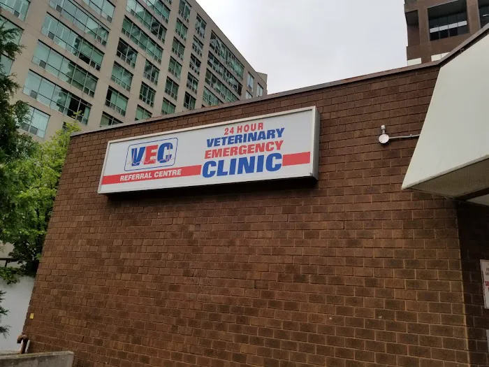 Veterinary Emergency Clinic 12