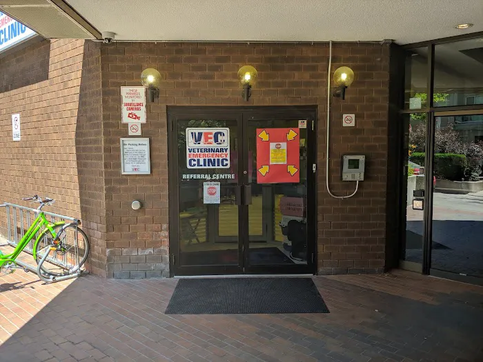 Veterinary Emergency Clinic 12