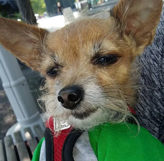 Veterinary Emergency Clinic 12