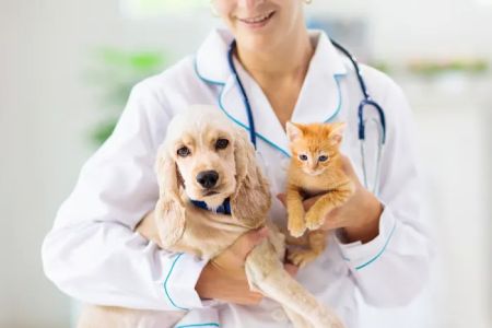 Waterloo West Animal Hospital Professional Corporation