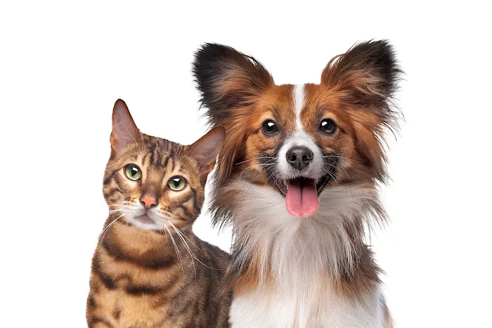 Waterloo West Animal Hospital Professional Corporation 12