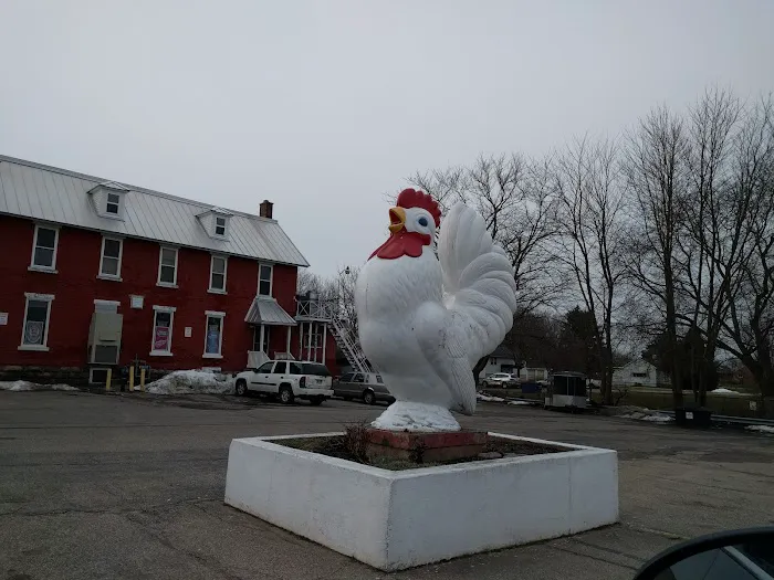 Hometown Veterinary Care in Byron Center 1