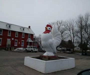 Hometown Veterinary Care in Byron Center
