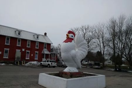 Hometown Veterinary Care in Byron Center