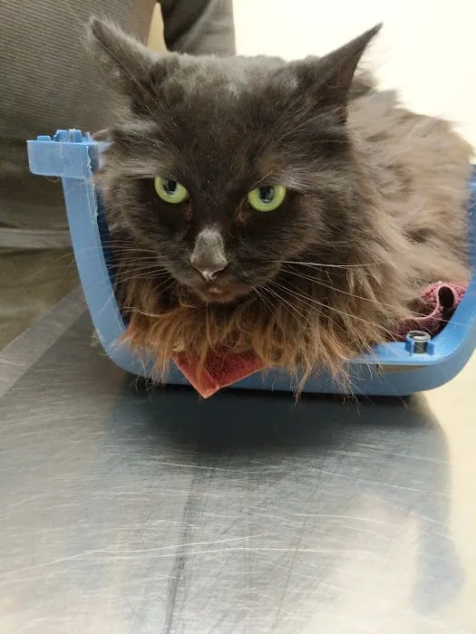 Hometown Veterinary Care in Byron Center 8