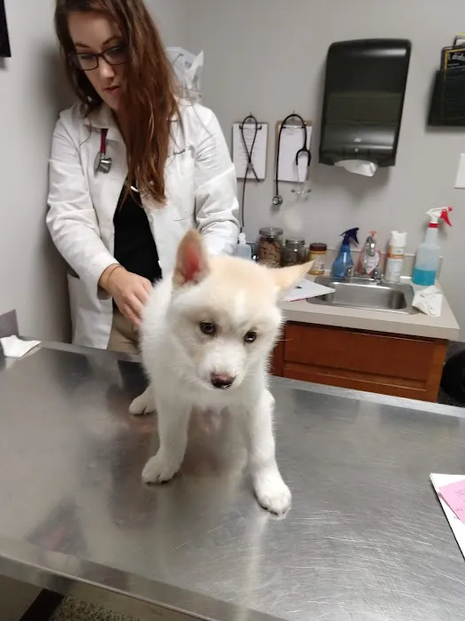 Hometown Veterinary Care in Byron Center 4