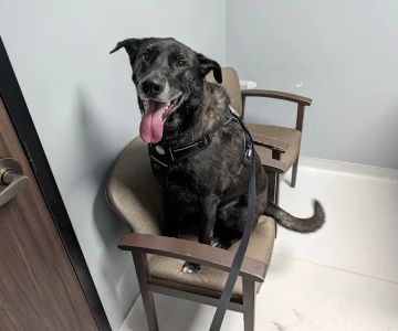 Dorr Veterinary Clinic