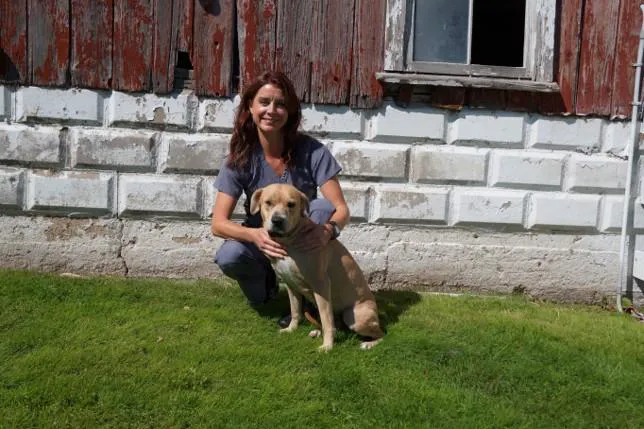 Dorr Veterinary Clinic 9