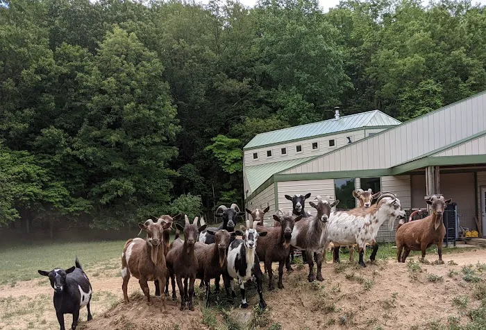 Michigan Mixed Animal Veterinary Service Inc. 7