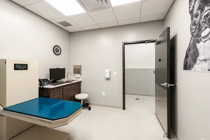 Animal Emergency and Specialty Hospital of Byron Center 7