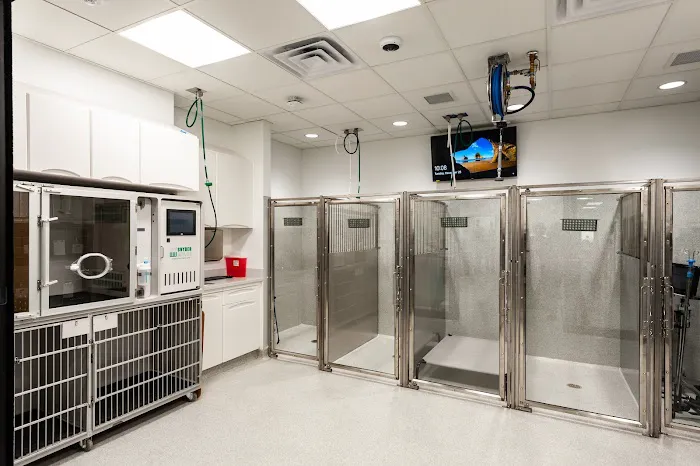 Animal Emergency and Specialty Hospital of Byron Center 8