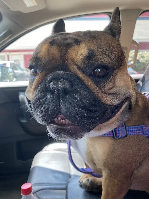 Animal Emergency and Specialty Hospital of Grand Rapids 10