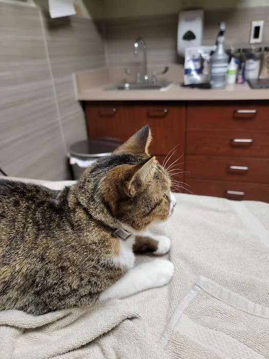 Animal Medical Center of Wyoming 12