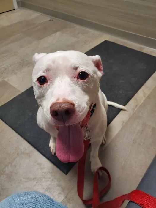Animal Medical Center of Wyoming 12